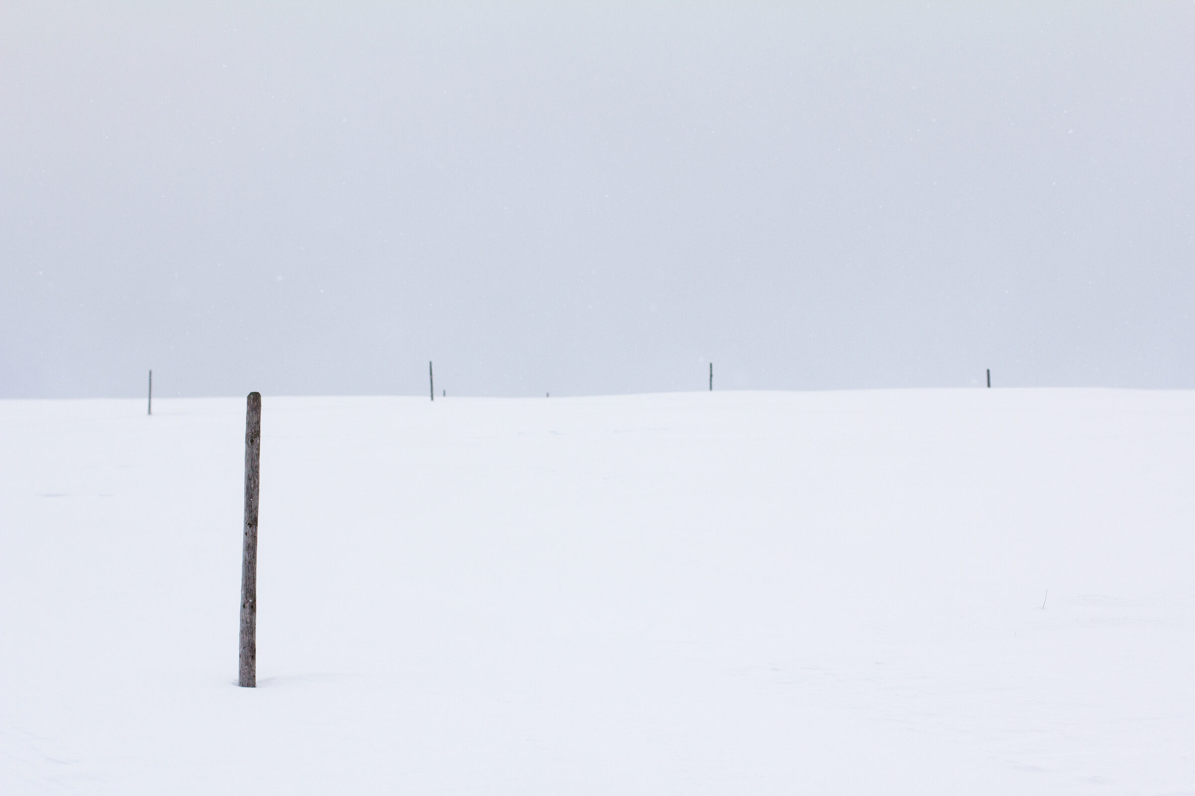 Wegmarkierung in verschneiter Landschaft