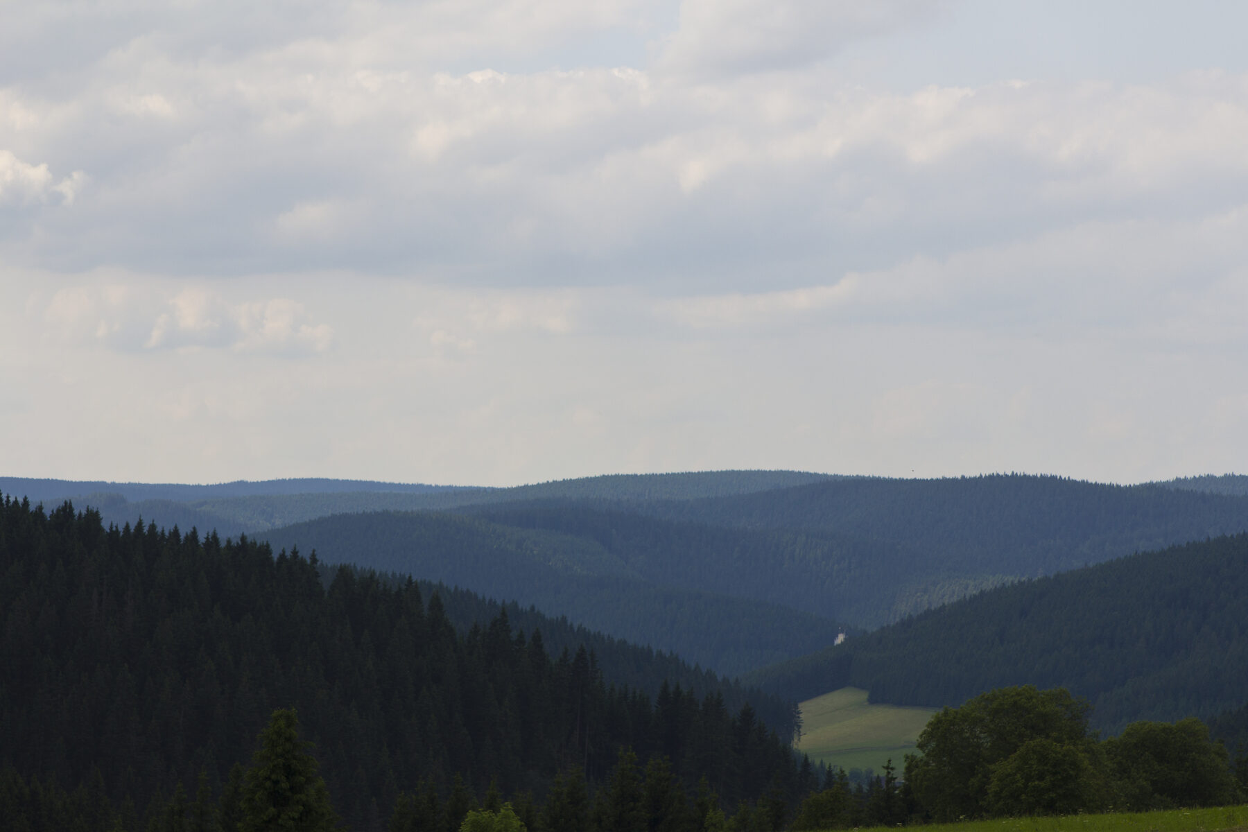 Bewaldete Schwarzwaldhöhen unter Wolkenhimmel